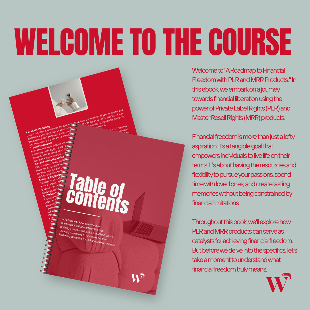 Roadmap to Financial Freedom Ebook With MRR